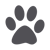 Gray Paw