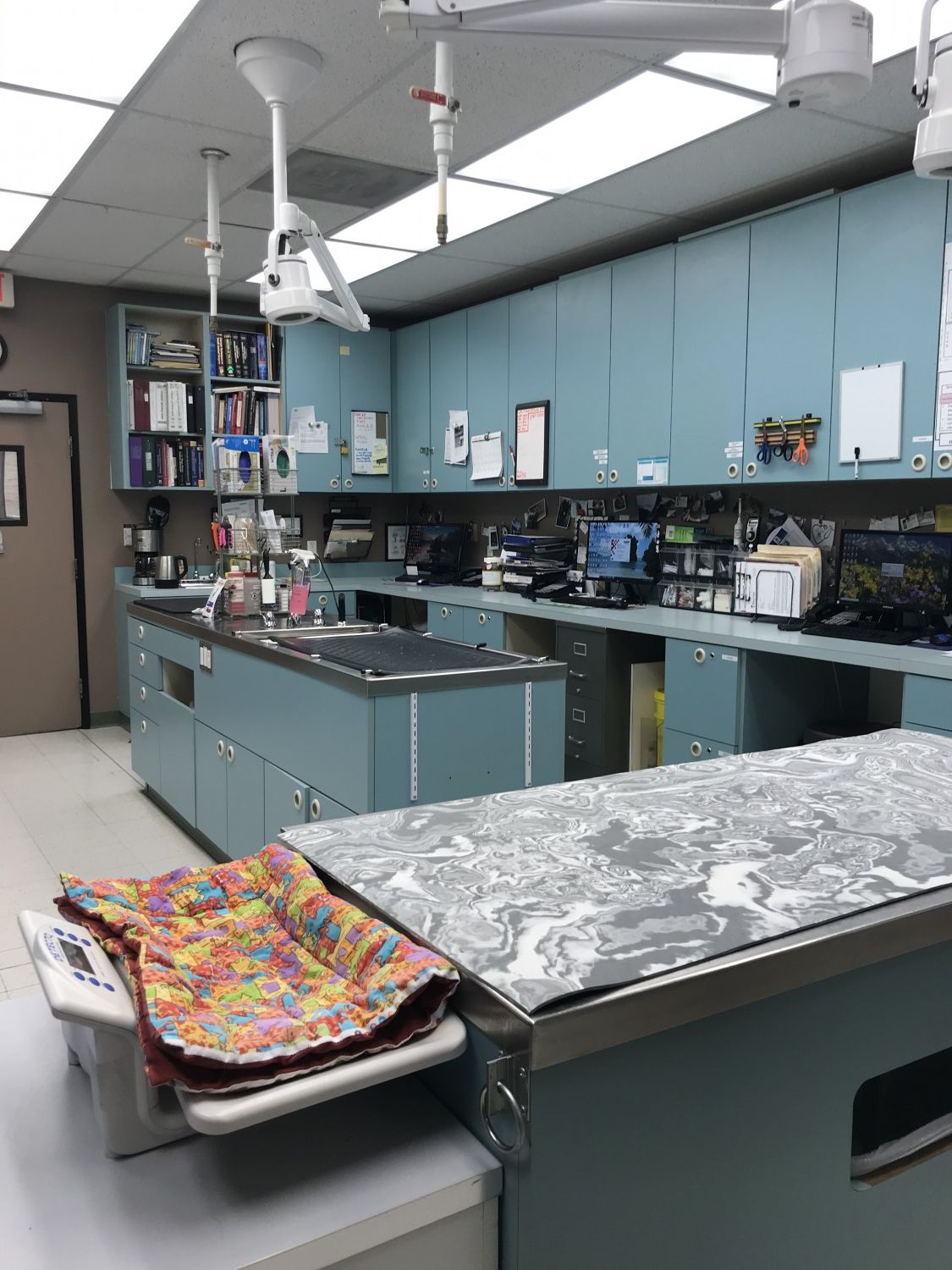 Surgical Suite