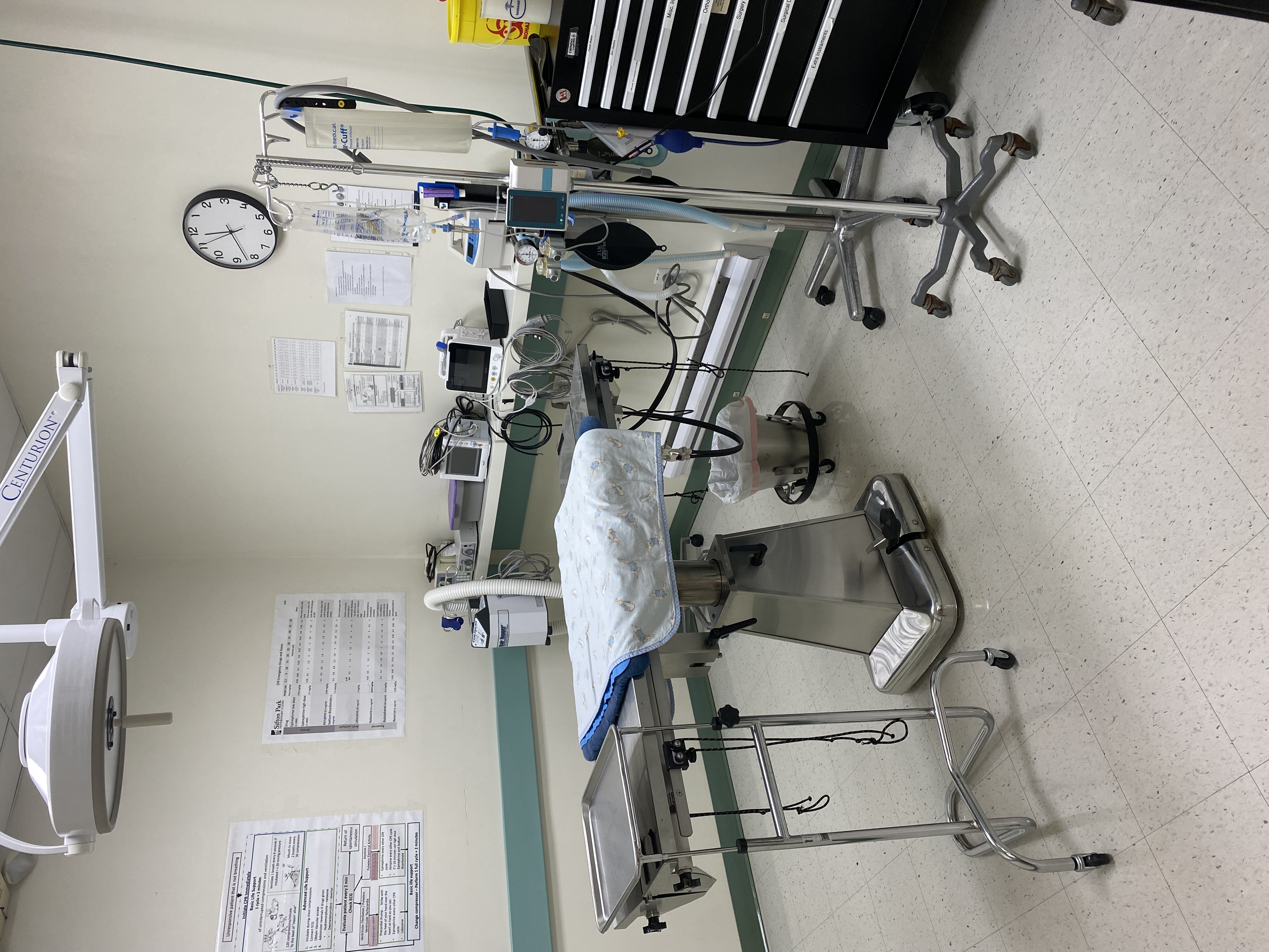 Surgery Suite