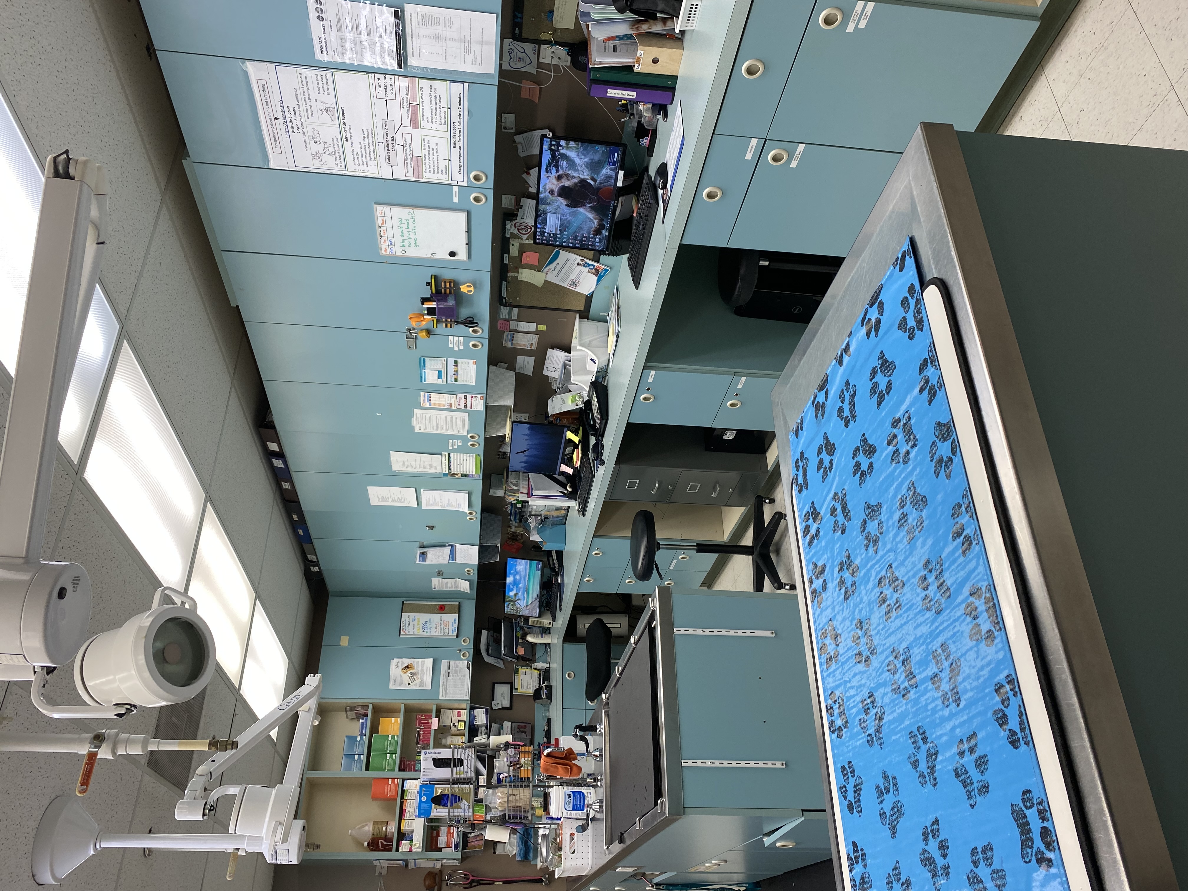 Treatment Room Work Stations